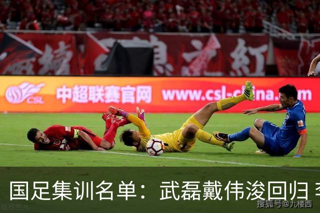 国足集训名单：武磊戴伟浚回归 李昊首次入围