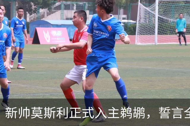 新帅莫斯利正式入主鹈鹕，誓言全力激发锡安潜能