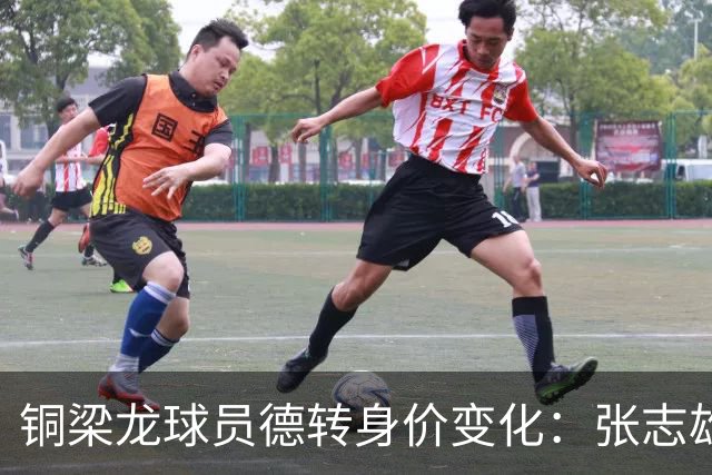 铜梁龙球员德转身价变化：张志雄等11人上升，阿马杜等4人下降