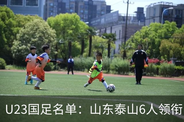 U23国足名单：山东泰山6人领衔 杜月徵向余望在列